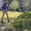 Purple Plus Plan - Image 5